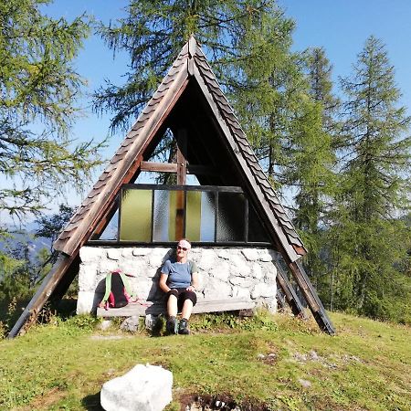 Ferienwohnung Schmaranzer Gosau Dış mekan fotoğraf