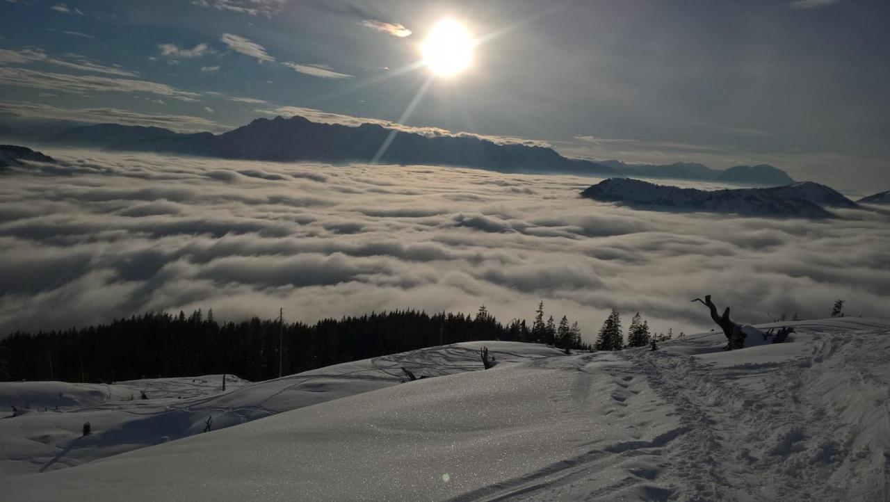 Ferienwohnung Schmaranzer Gosau Dış mekan fotoğraf
