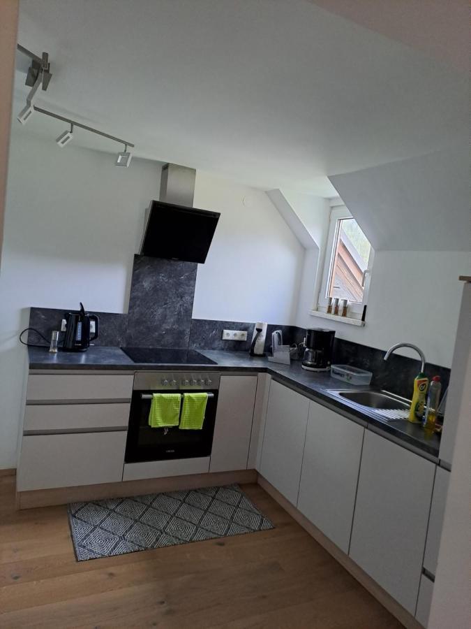 Ferienwohnung Schmaranzer Gosau Dış mekan fotoğraf