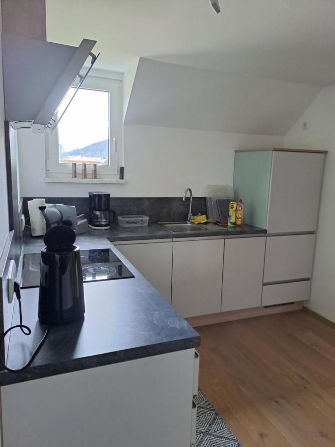 Ferienwohnung Schmaranzer Gosau Dış mekan fotoğraf