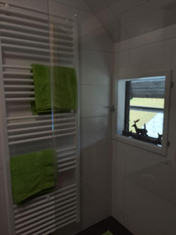 Ferienwohnung Schmaranzer Gosau Dış mekan fotoğraf